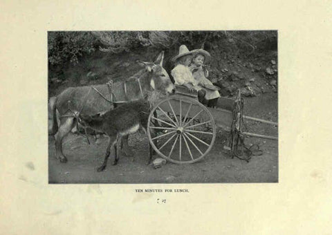 Reproducción/Reproduction 6025807130: The Burro book Pueblo, Colo. :S.M. McCandless,c1900