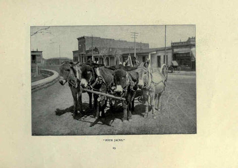 Reproducción/Reproduction 6025807600: The Burro book Pueblo, Colo. :S.M. McCandless,c1900