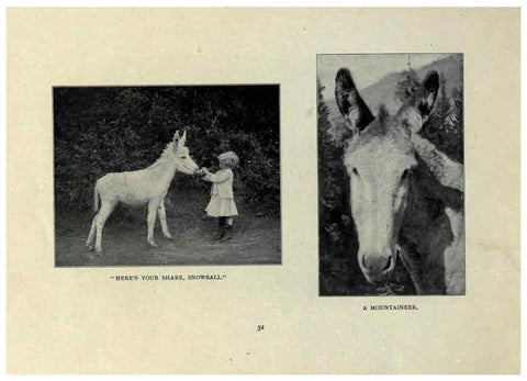 Reproducción/Reproduction 6025253073: The Burro book Pueblo, Colo. :S.M. McCandless,c1900
