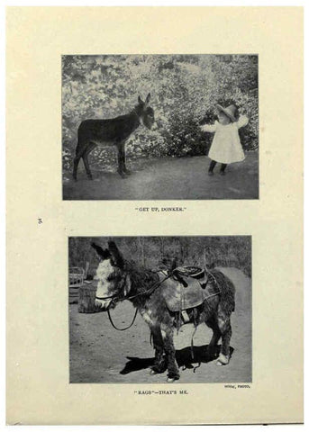 Reproducción/Reproduction 6025250127: The Burro book Pueblo, Colo. :S.M. McCandless,c1900