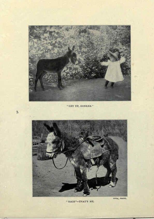 Reproducción/Reproduction 6025250127: The Burro book Pueblo, Colo. :S.M. McCandless,c1900