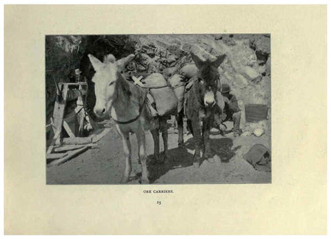 Reproducción/Reproduction 6025249937: The Burro book Pueblo, Colo. :S.M. McCandless,c1900