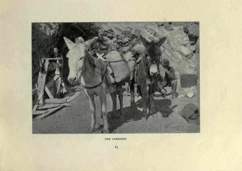 Reproducción/Reproduction 6025249937: The Burro book Pueblo, Colo. :S.M. McCandless,c1900