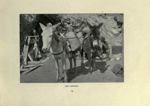 Reproducción/Reproduction 6025249937: The Burro book Pueblo, Colo. :S.M. McCandless,c1900