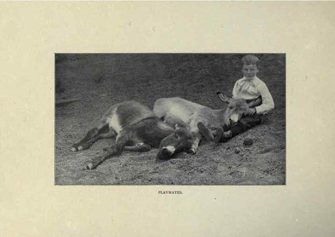 Reproducción/Reproduction 6025802736: The Burro book Pueblo, Colo. :S.M. McCandless,c1900