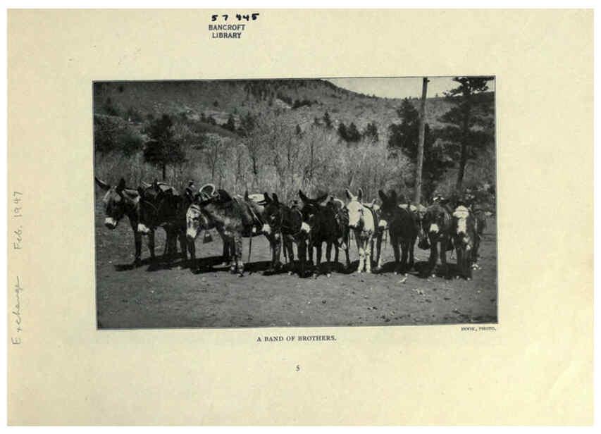 Reproducción/Reproduction 6025248077: The Burro book Pueblo, Colo. :S.M. McCandless,c1900