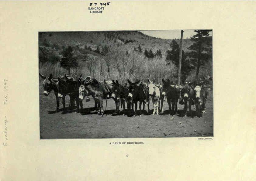 Reproducción/Reproduction 6025248077: The Burro book Pueblo, Colo. :S.M. McCandless,c1900