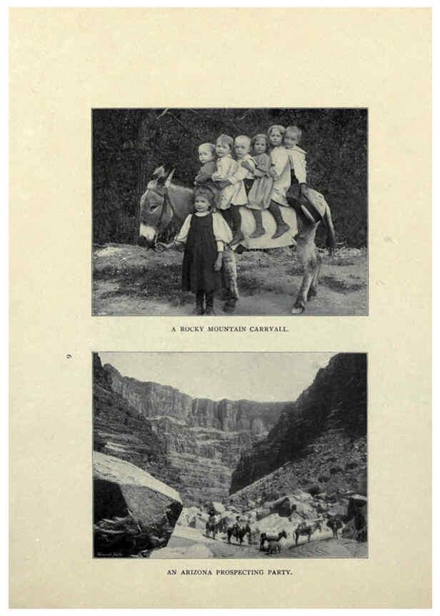 Reproducción/Reproduction 6025248265: The Burro book Pueblo, Colo. :S.M. McCandless,c1900