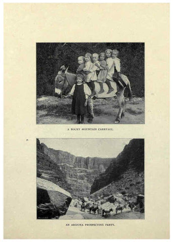 Reproducción/Reproduction 6025248265: The Burro book Pueblo, Colo. :S.M. McCandless,c1900
