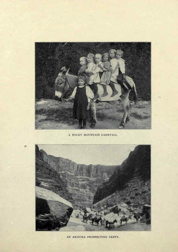 Reproducción/Reproduction 6025248265: The Burro book Pueblo, Colo. :S.M. McCandless,c1900