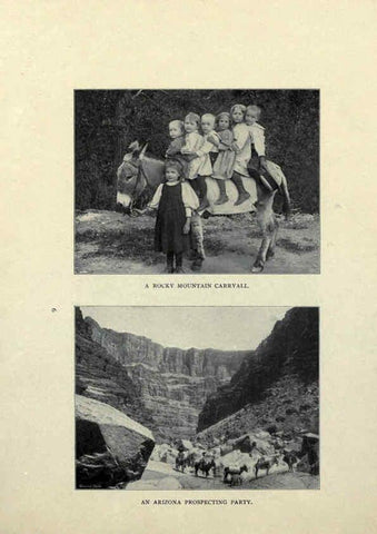 Reproducción/Reproduction 6025248265: The Burro book Pueblo, Colo. :S.M. McCandless,c1900
