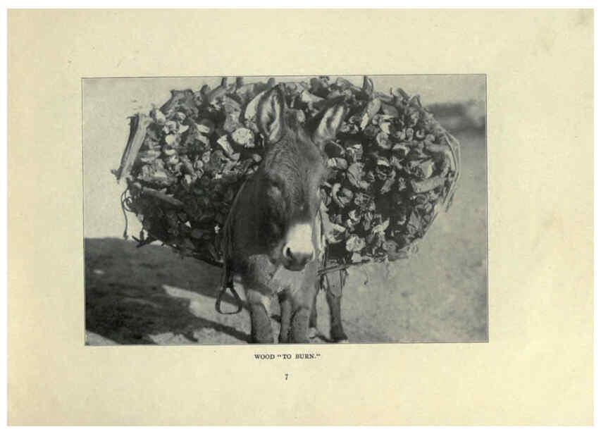 Reproducción/Reproduction 6025803378: The Burro book Pueblo, Colo. :S.M. McCandless,c1900