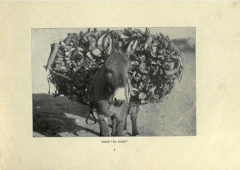 Reproducción/Reproduction 6025803378: The Burro book Pueblo, Colo. :S.M. McCandless,c1900