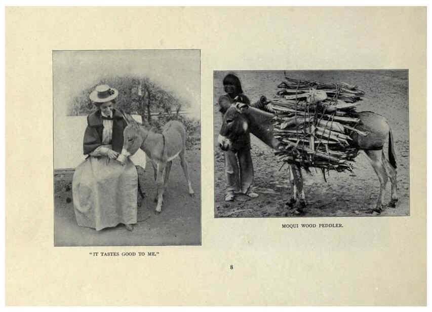 Reproducción/Reproduction 6025803544: The Burro book Pueblo, Colo. :S.M. McCandless,c1900
