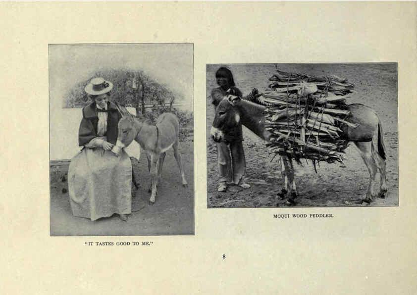 Reproducción/Reproduction 6025803544: The Burro book Pueblo, Colo. :S.M. McCandless,c1900
