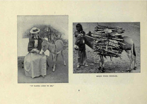 Reproducción/Reproduction 6025803544: The Burro book Pueblo, Colo. :S.M. McCandless,c1900