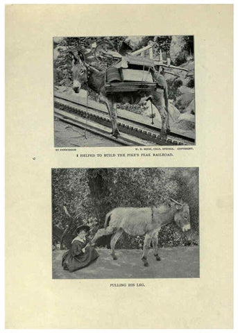 Reproducción/Reproduction 6025248795: The Burro book Pueblo, Colo. :S.M. McCandless,c1900