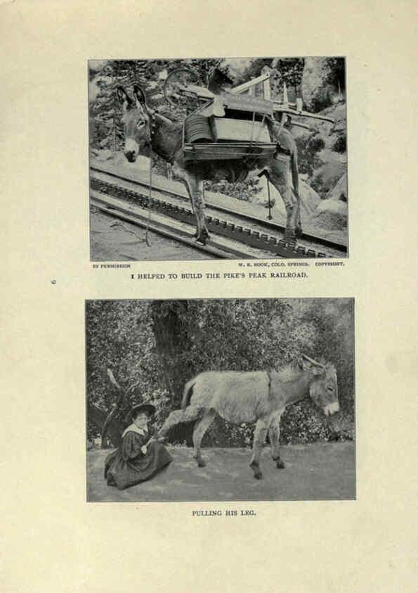 Reproducción/Reproduction 6025248795: The Burro book Pueblo, Colo. :S.M. McCandless,c1900