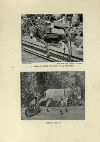 Reproducción/Reproduction 6025248795: The Burro book Pueblo, Colo. :S.M. McCandless,c1900