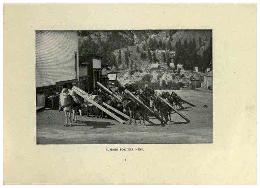 Reproducción/Reproduction 6025804150: The Burro book Pueblo, Colo. :S.M. McCandless,c1900