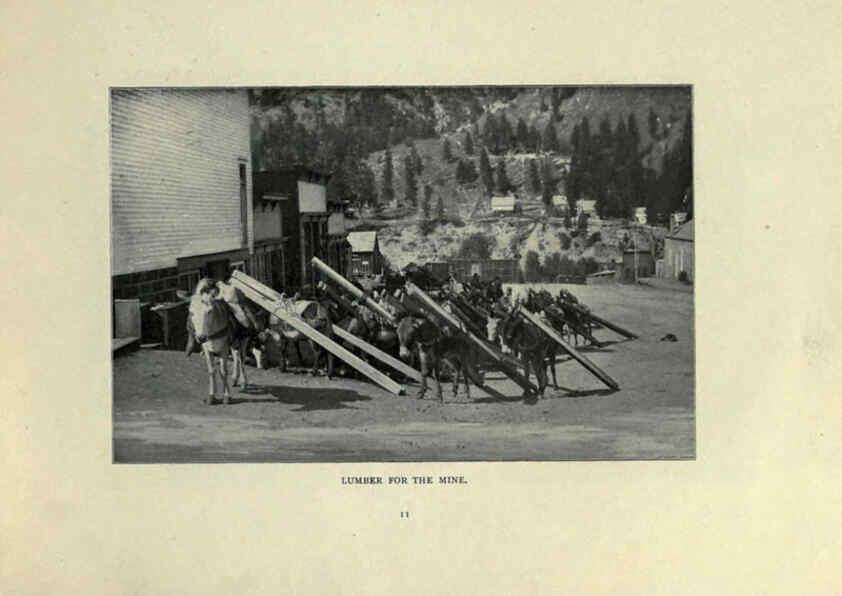 Reproducción/Reproduction 6025804150: The Burro book Pueblo, Colo. :S.M. McCandless,c1900