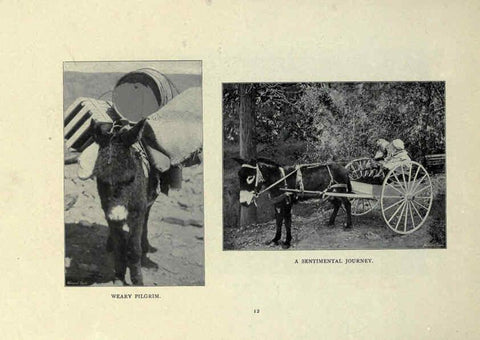 Reproducción/Reproduction 6025804336: The Burro book Pueblo, Colo. :S.M. McCandless,c1900