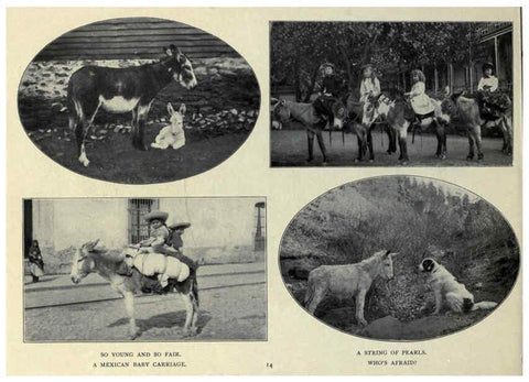 Reproducción/Reproduction 6025804720: The Burro book Pueblo, Colo. :S.M. McCandless,c1900