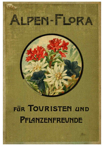 Reproducción/Reproduction 6021498049: Alpen-Flora für Touristen und Pflanzenfreunde Stuttgart :Verlag für Naturkunde Sprösser & Nägele,1904