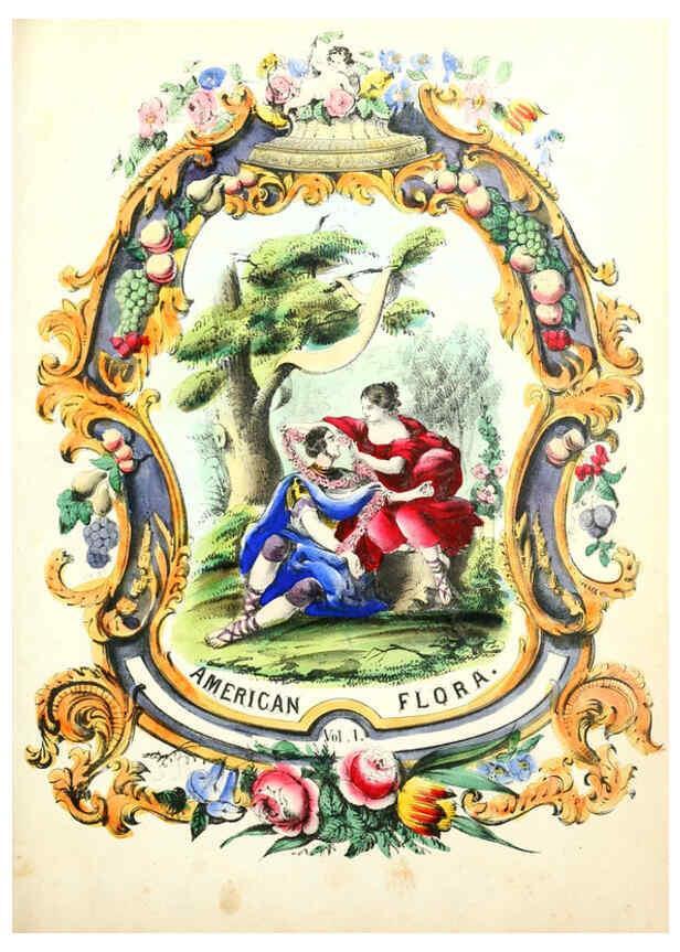 Reproducción/Reproduction 6021767701: The American flora. v.1 New York :Hull & Spencer,1855