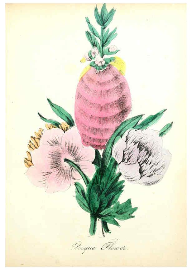 Reproducción/Reproduction 6022326192: The American flora. v.1 New York :Hull & Spencer,1855