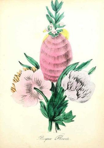 Reproducción/Reproduction 6022326192: The American flora. v.1 New York :Hull & Spencer,1855