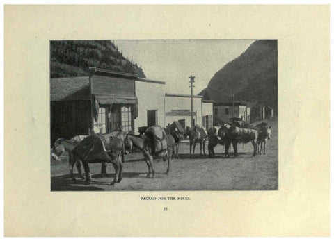 Reproducción/Reproduction 6025808748: The Burro book Pueblo, Colo. :S.M. McCandless,c1900