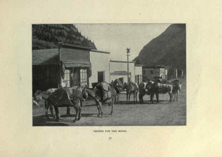 Reproducción/Reproduction 6025808748: The Burro book Pueblo, Colo. :S.M. McCandless,c1900