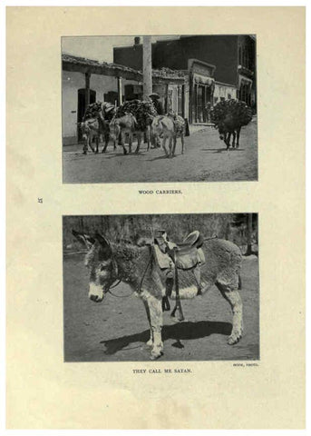 Reproducción/Reproduction 6025254083: The Burro book Pueblo, Colo. :S.M. McCandless,c1900