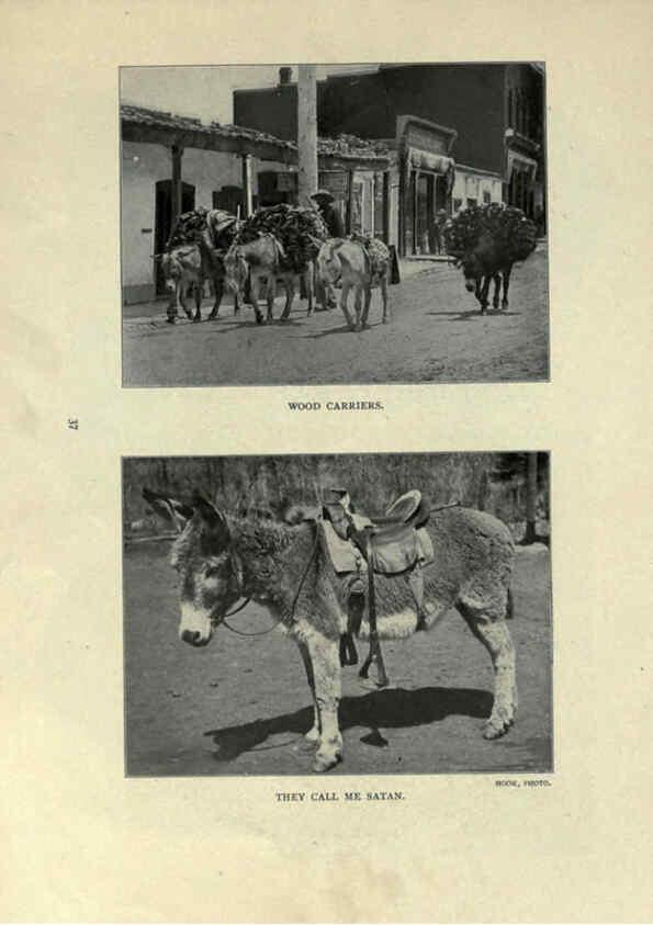 Reproducción/Reproduction 6025254083: The Burro book Pueblo, Colo. :S.M. McCandless,c1900