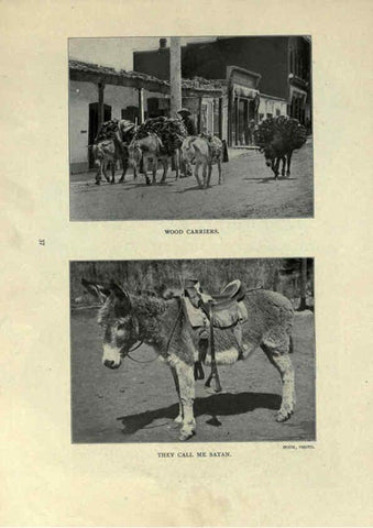 Reproducción/Reproduction 6025254083: The Burro book Pueblo, Colo. :S.M. McCandless,c1900
