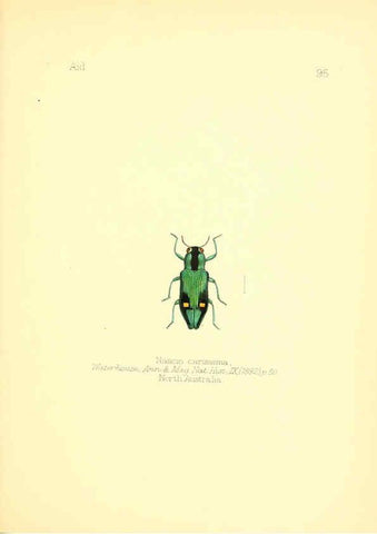 Reproducción/Reproduction 6025838963: Aid to the identification of insects. v.1. London :E.W. Janson,1880-90