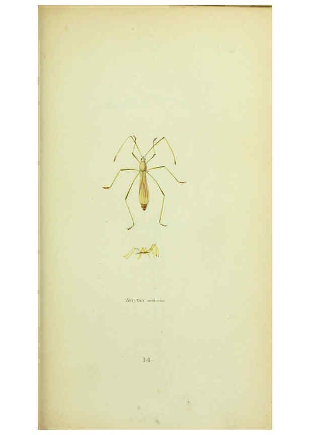 Reproducción/Reproduction 6026579794: American entomology. v.1. Boston :Estes & Lauriat,[1859?] 