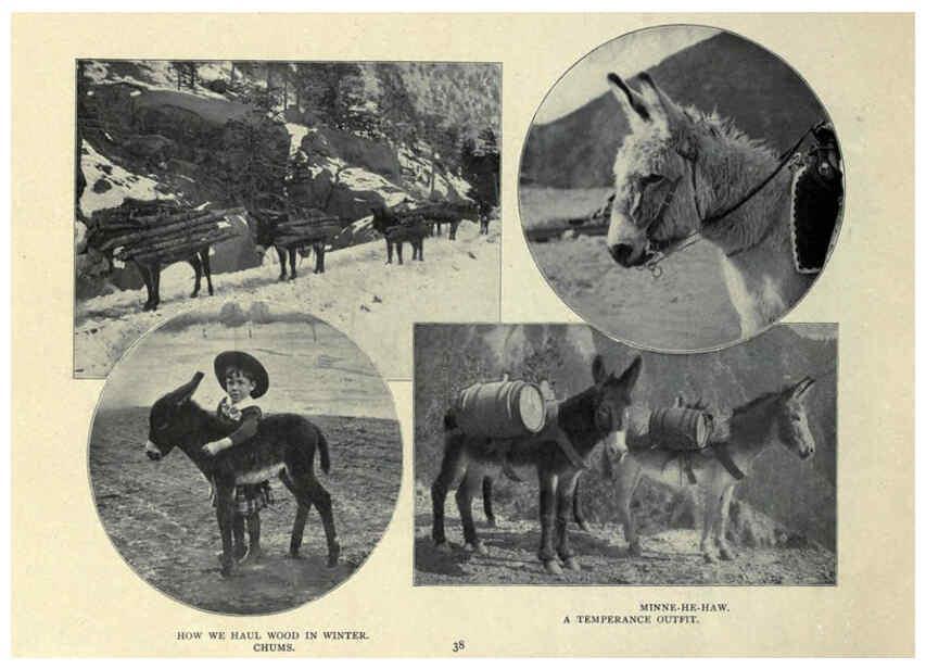 Reproducción/Reproduction 6025809304: The Burro book Pueblo, Colo. :S.M. McCandless,c1900
