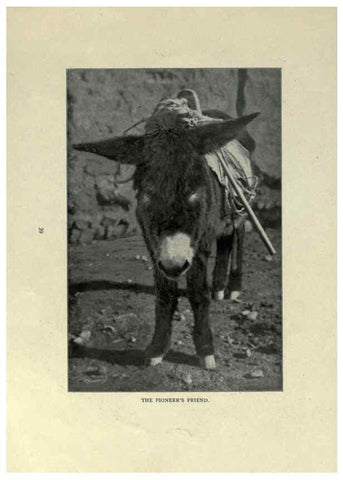 Reproducción/Reproduction 6025809710: The Burro book Pueblo, Colo. :S.M. McCandless,c1900