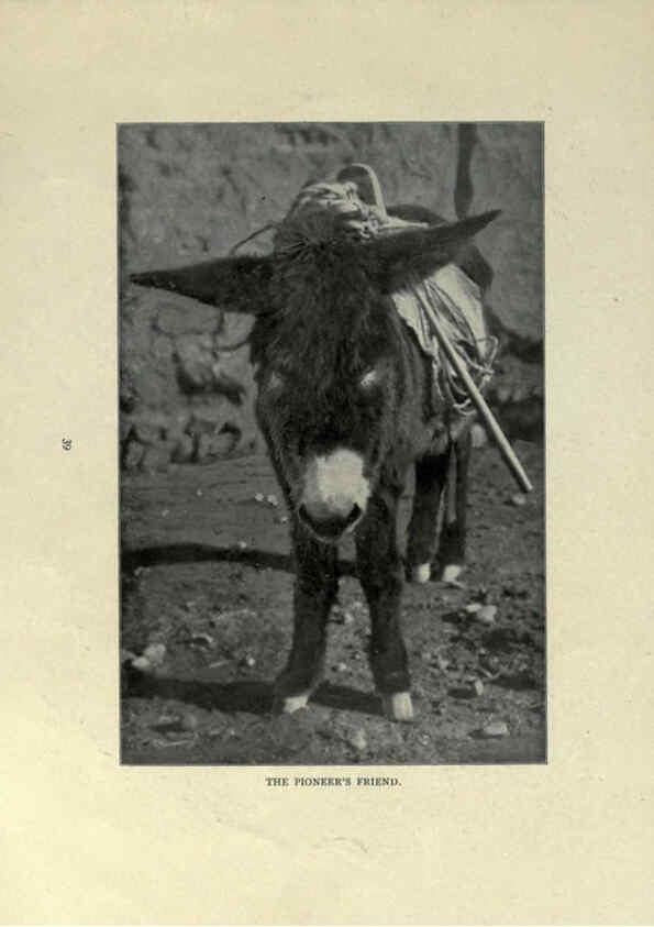 Reproducción/Reproduction 6025809710: The Burro book Pueblo, Colo. :S.M. McCandless,c1900