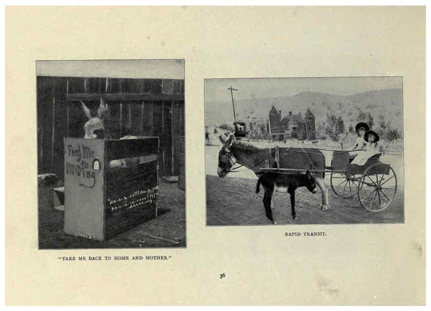 Reproducción/Reproduction 6025253879: The Burro book Pueblo, Colo. :S.M. McCandless,c1900