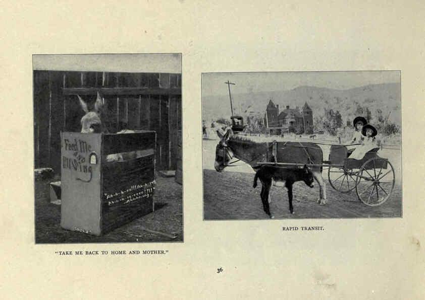 Reproducción/Reproduction 6025253879: The Burro book Pueblo, Colo. :S.M. McCandless,c1900
