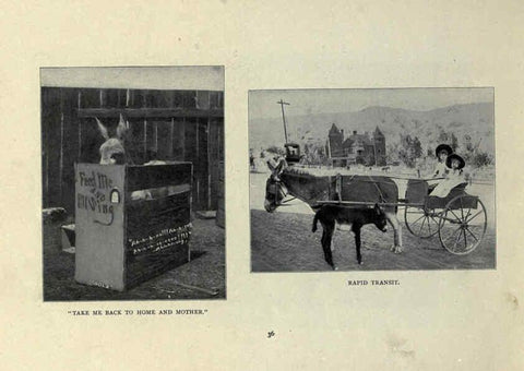 Reproducción/Reproduction 6025253879: The Burro book Pueblo, Colo. :S.M. McCandless,c1900