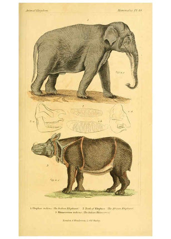 Reproducción/Reproduction 6026159238: The animal kingdom, arranged according to its organization, serving as a foundation for the natural history of animals. v.1 plates. London :G. Henderson,1834-1837