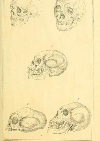 Reproducción/Reproduction 6025584151: The animal kingdom, arranged according to its organization, serving as a foundation for the natural history of animals. v.1 plates. London :G. Henderson,1834-1837
