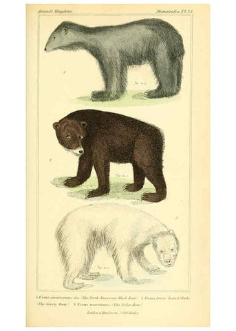 Reproducción/Reproduction 6026149514: The animal kingdom, arranged according to its organization, serving as a foundation for the natural history of animals. v.1 plates. London :G. Henderson,1834-1837