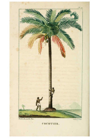 Reproducción/Reproduction 6004848009: Flore pittoresque et médicale des Antilles v.1 Paris Pichard,1821-1829