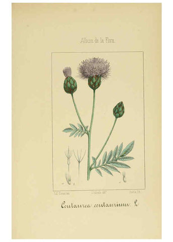 Reproducción/Reproduction 6011790707: Album de la flora médico-farmacéutica é industrial, indígena y exótica Madrid,Impr. de la Galeria literaria,1862-64