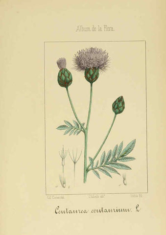 Reproducción/Reproduction 6011790707: Album de la flora médico-farmacéutica é industrial, indígena y exótica Madrid,Impr. de la Galeria literaria,1862-64